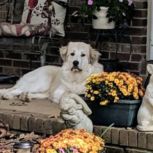 Meet your Posher, Robin